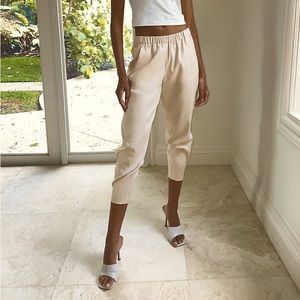 Aritzia Dexter Linen Pants